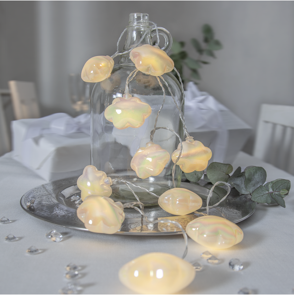 Light Chain Nacy
