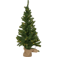600-41_FL_001.png
