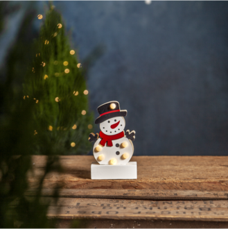 Indoor Decoration Freddy