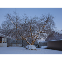 465-06_MB_007.png