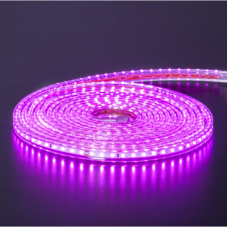 Rope Light FlatSMDLED