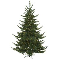 608-55_FL_001.png