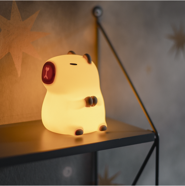 LED Nightlight Functional