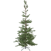 606-39_FL_001.png