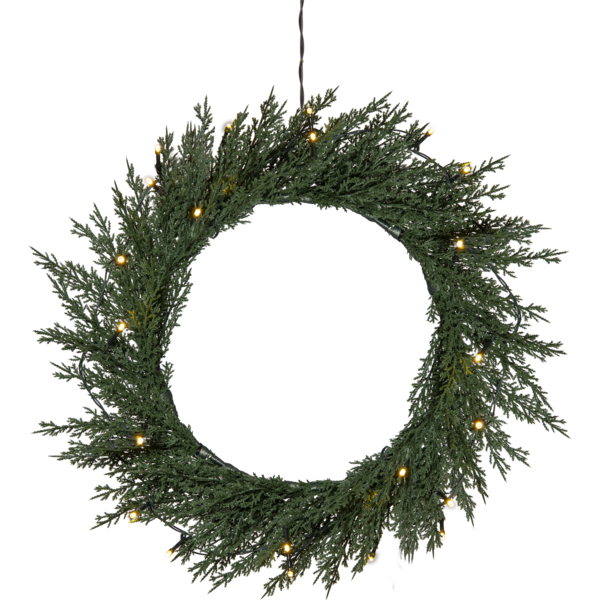 Wreath Thuja