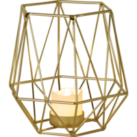 062-56_FL_001.png