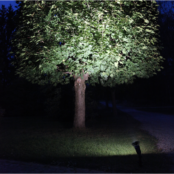 LED Lamp E27 PAR38 Spotlight Outdoor