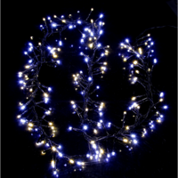 498-07_PB_001.png