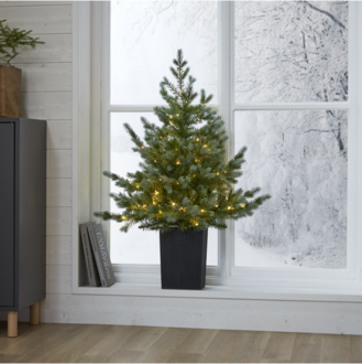 Christmas Tree w LED Greyland