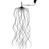456-25_MN.png