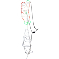 807-17_PB_005.png