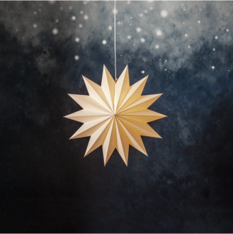 Paper Star Plain