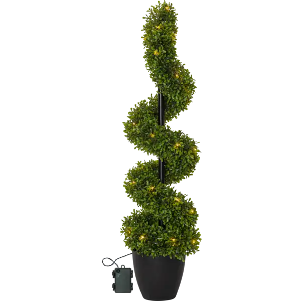 Decorative Tree Buxbom