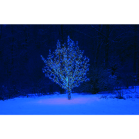 484-01-49_MB_001.png