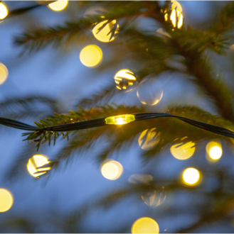 Light Chain Dew Drop Micro