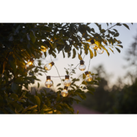 481-06_MB_003.png