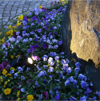 Solar Spotlight Powerspot