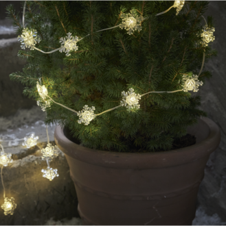 Light Chain Snowstar