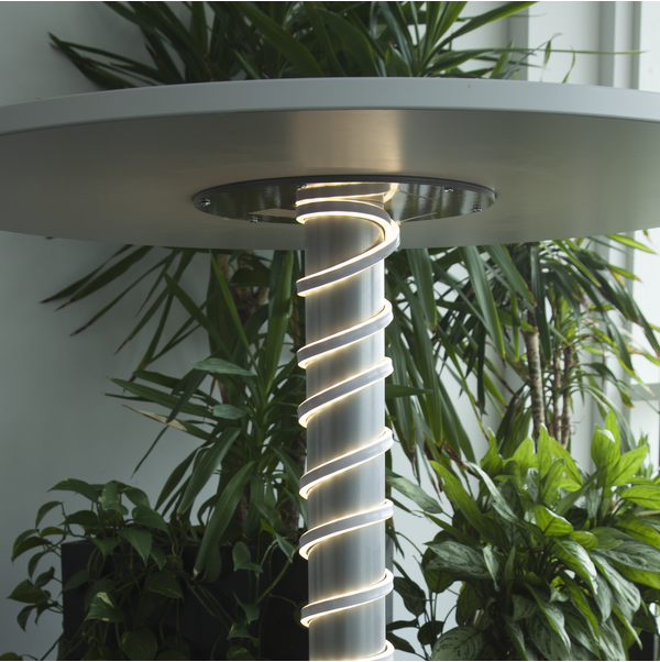 Rope Light Neoled