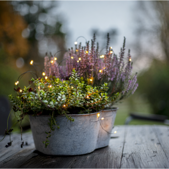 Light Chain Dew Drop Outdoor