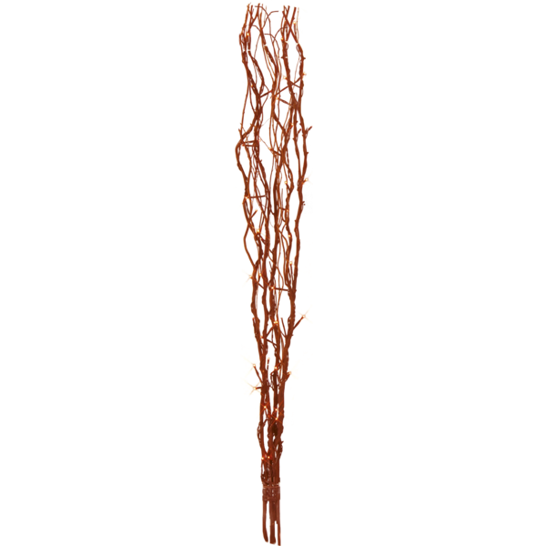 584-05_MN.png