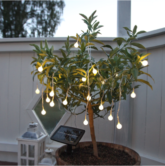 Solar Light Chain Globini