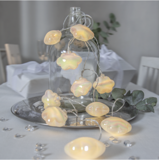 Light Chain Nacy