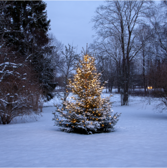 Christmas Tree Light Shiny Warm White