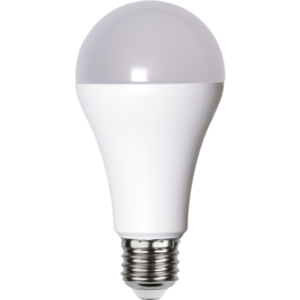LED Lamp E27 A65 High Lumen