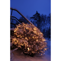 492-70_MB_001.png