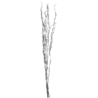 584-07_FL_001.png