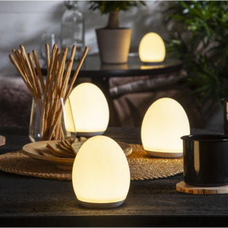 LED Nightlight Functional