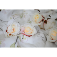 726-85_MB_007.png