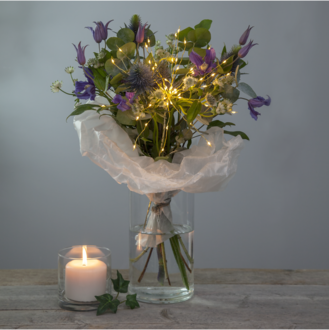 Decorative Twig Firework