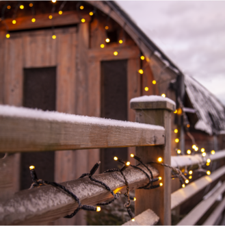 Icicle Lights Extra System 24 Flashing
