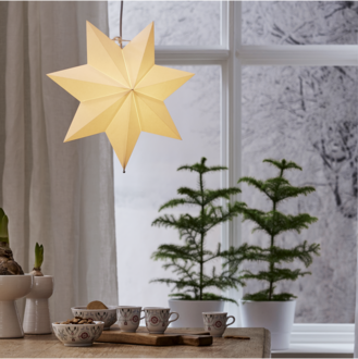 Paper Star POLAR