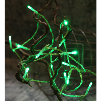 Light Chain Trendlites