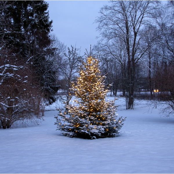 Christmas Tree Light Shiny Warm White