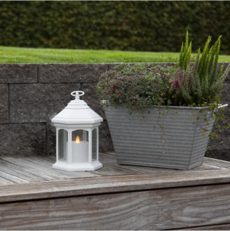Lantern Linta