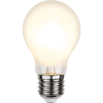 LED Lamp E27 A60 Frosted