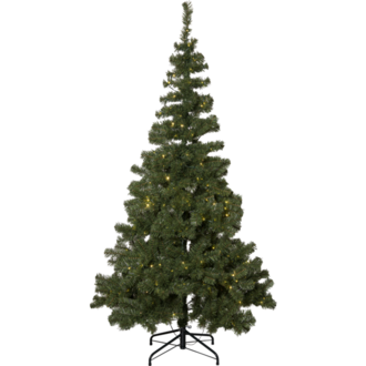 Christmas Tree w LED Ottawa