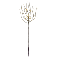 860-25_FL_001.png