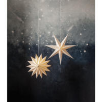 501-35,501-98_MB_001.png