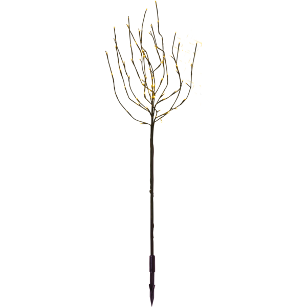 860-25_MN.png