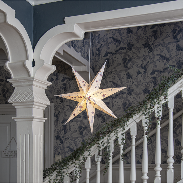 Paper Star Care