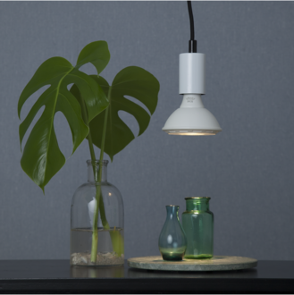 LED Lamp E27 PAR30 Spotlight Basic