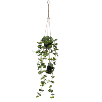 Decorative Twig Laos