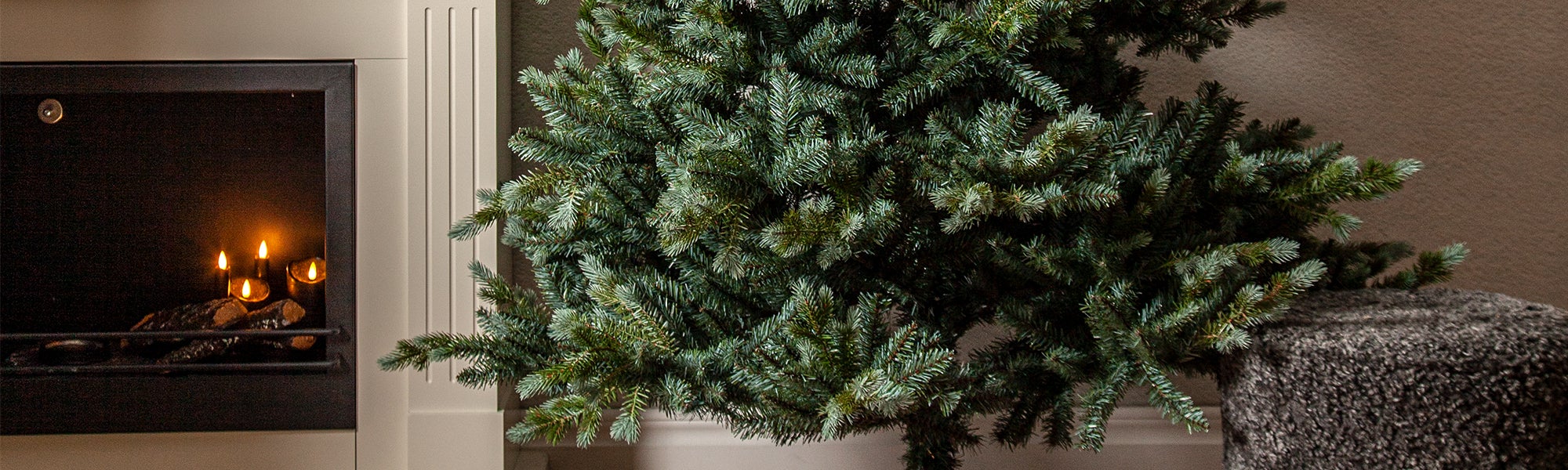 Christmas Trees without lights