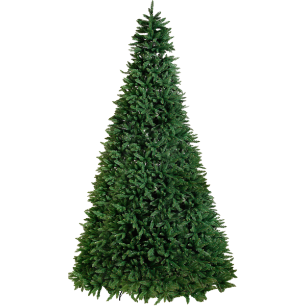 Christmas Tree Calgary