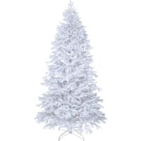 606-05_FL_001.png